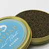 Caviar del Tibet Beluga 500 gr