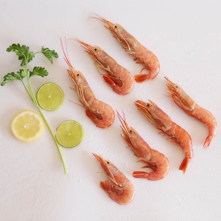 Langostino Austral