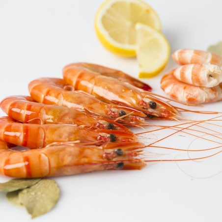 Langostino BIO