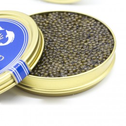 Caviar 01