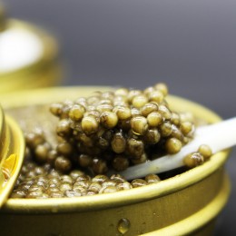 Caviar del Tibet Oscietra...