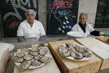 Ostreras en Vigo. Foto de Nuria Pérez en http://www.atlantico.net/noticia.php?id=45213