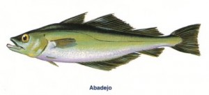 abadejo