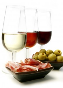 tapas-y-vinos